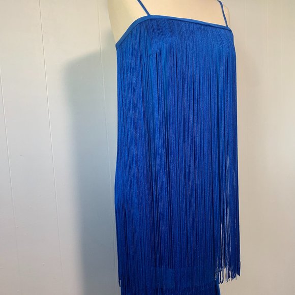Stunning Rare Vintage Fringe Dress - Picture 4 of 15